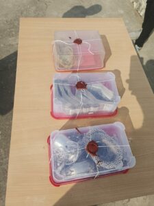 पुलिस द्वारा बरामद किए गए आभूषण।
